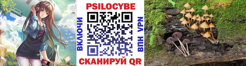 Галлюциногенные грибы Psilocybine cubensis  Афипский 